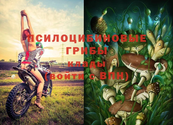 прущие крисы Кодинск