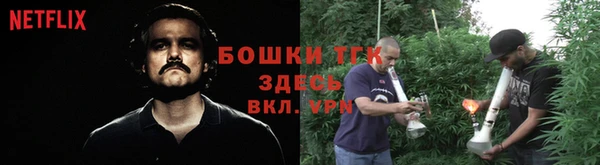 прущие крисы Кодинск