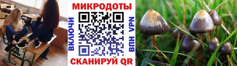 Купить  Льгов  Псилоцибиновые грибы Cubensis 
